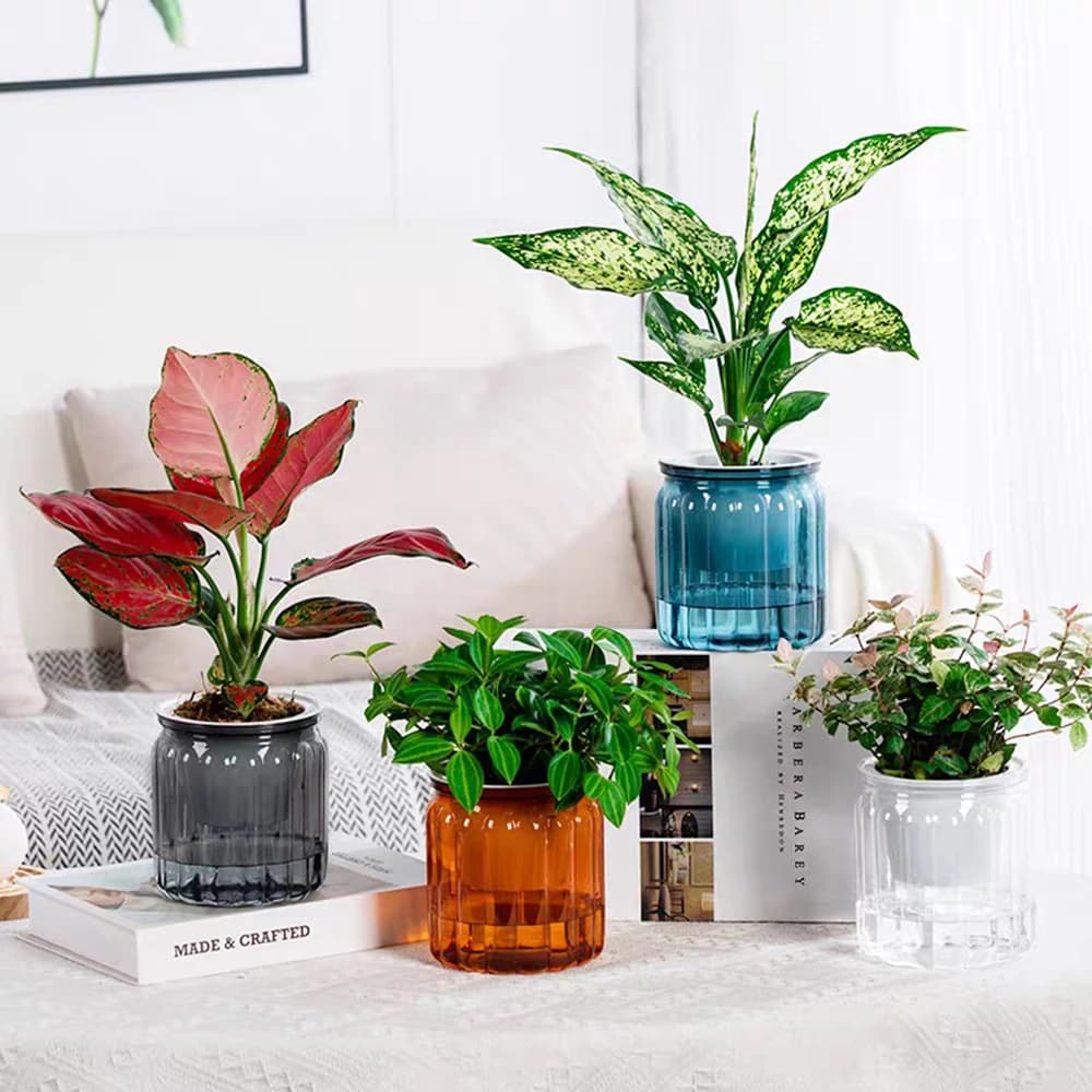 Plastic Tabletop Flower Pots Decor Self Watering Flower Pots Home Decoration Tabletop Vase Transparent Hydroponic Plants Pots