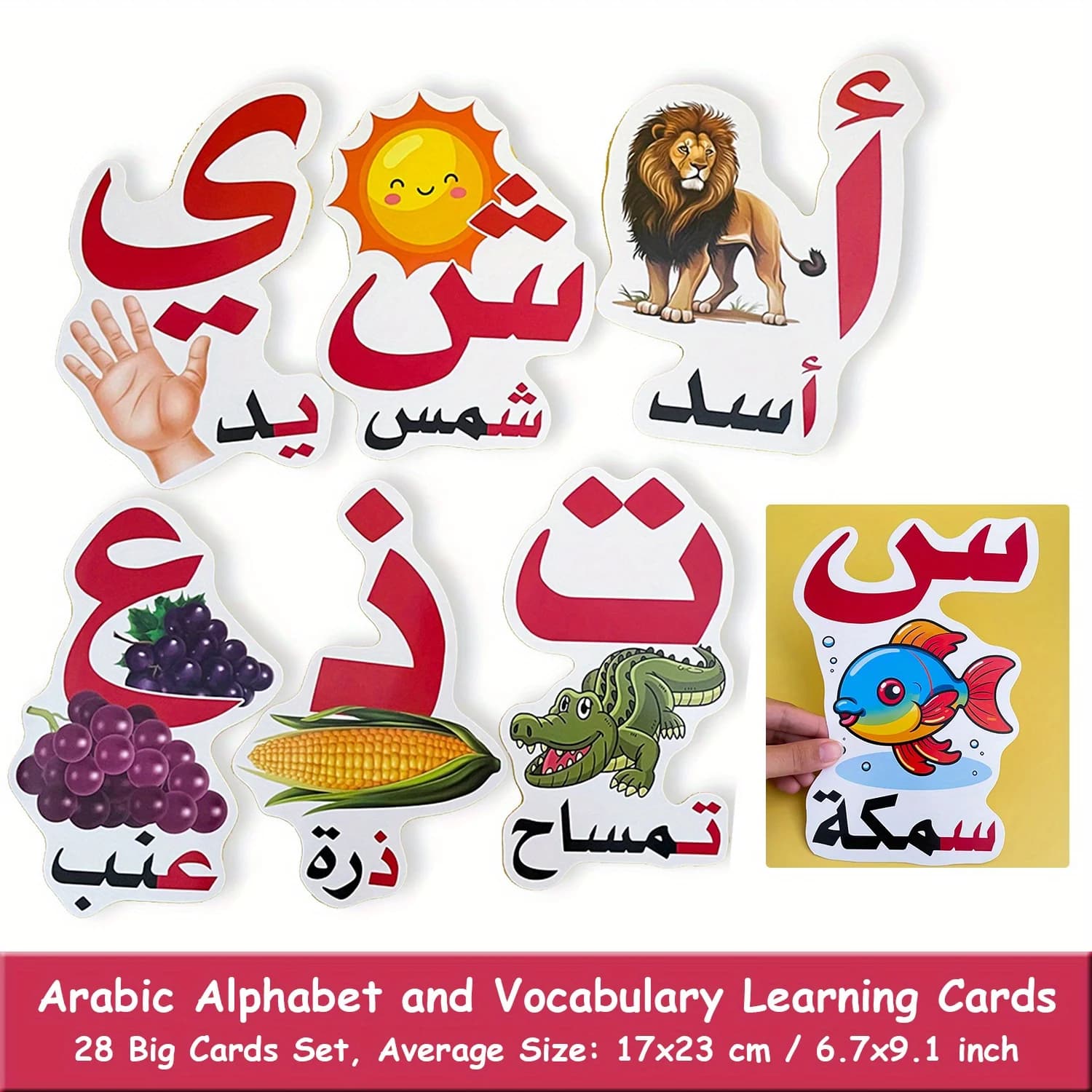 Arabic Alphabet Learning Cards, Language Learning Classroom Teaching Materials, Classroom Decoration, Teacher's Teaching Aids