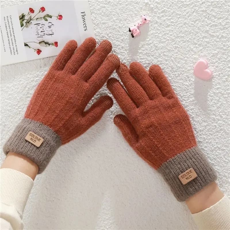 Gloves for Women In Winter Warm Imitation Cashmere Touch Screen Cute Student with Thick Velvet Knitted Five Finger Gloves